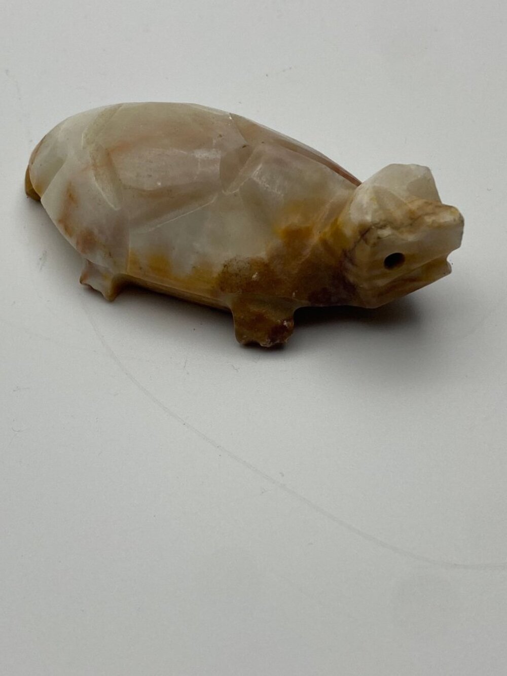 Onyx Turtle